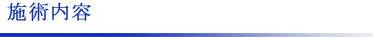 施術内容